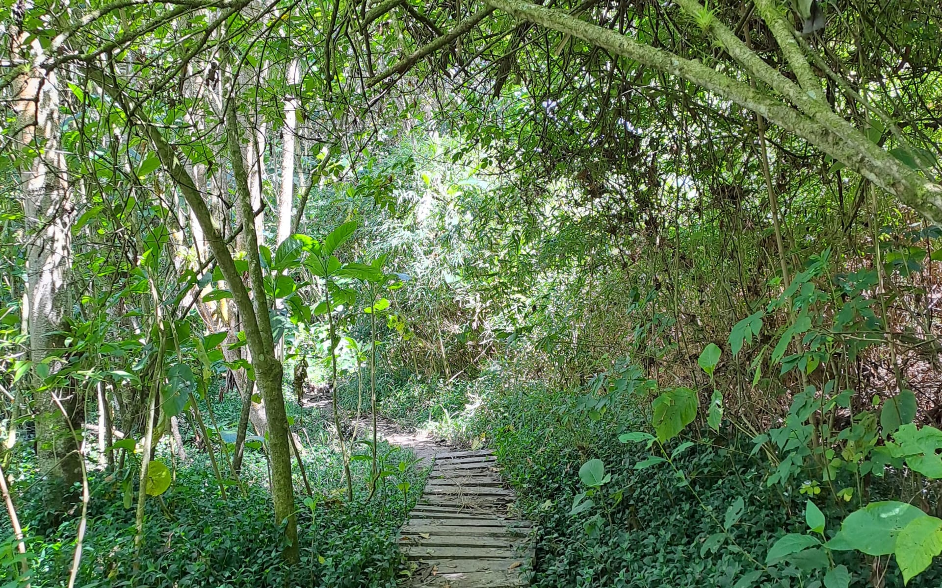 Sendero entre la Reserva