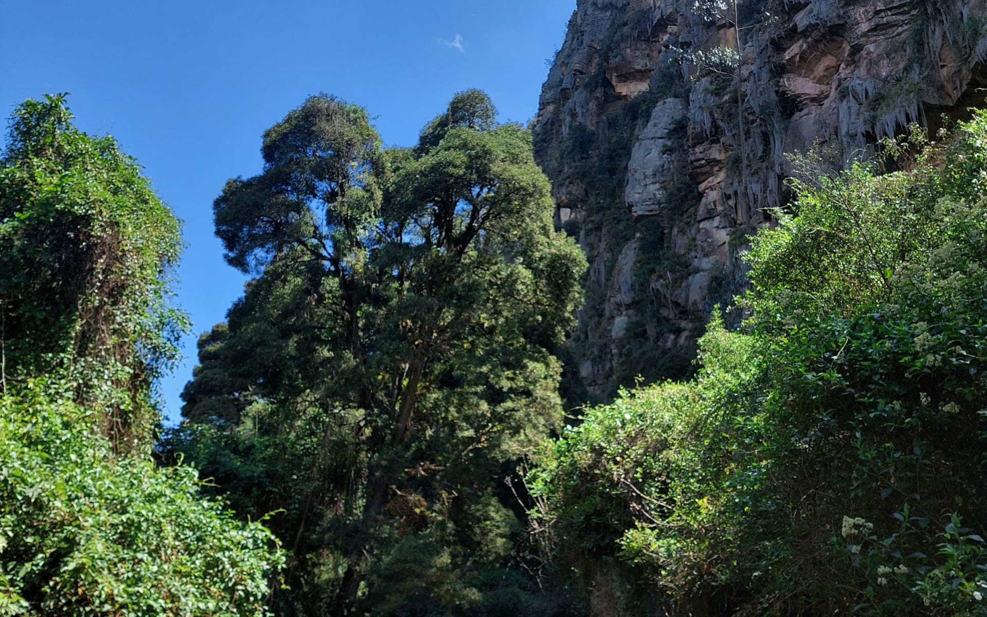 Paisaje de entrada a la Reserva el Turpial en las Rocas de Suesca