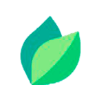 destiplus logo