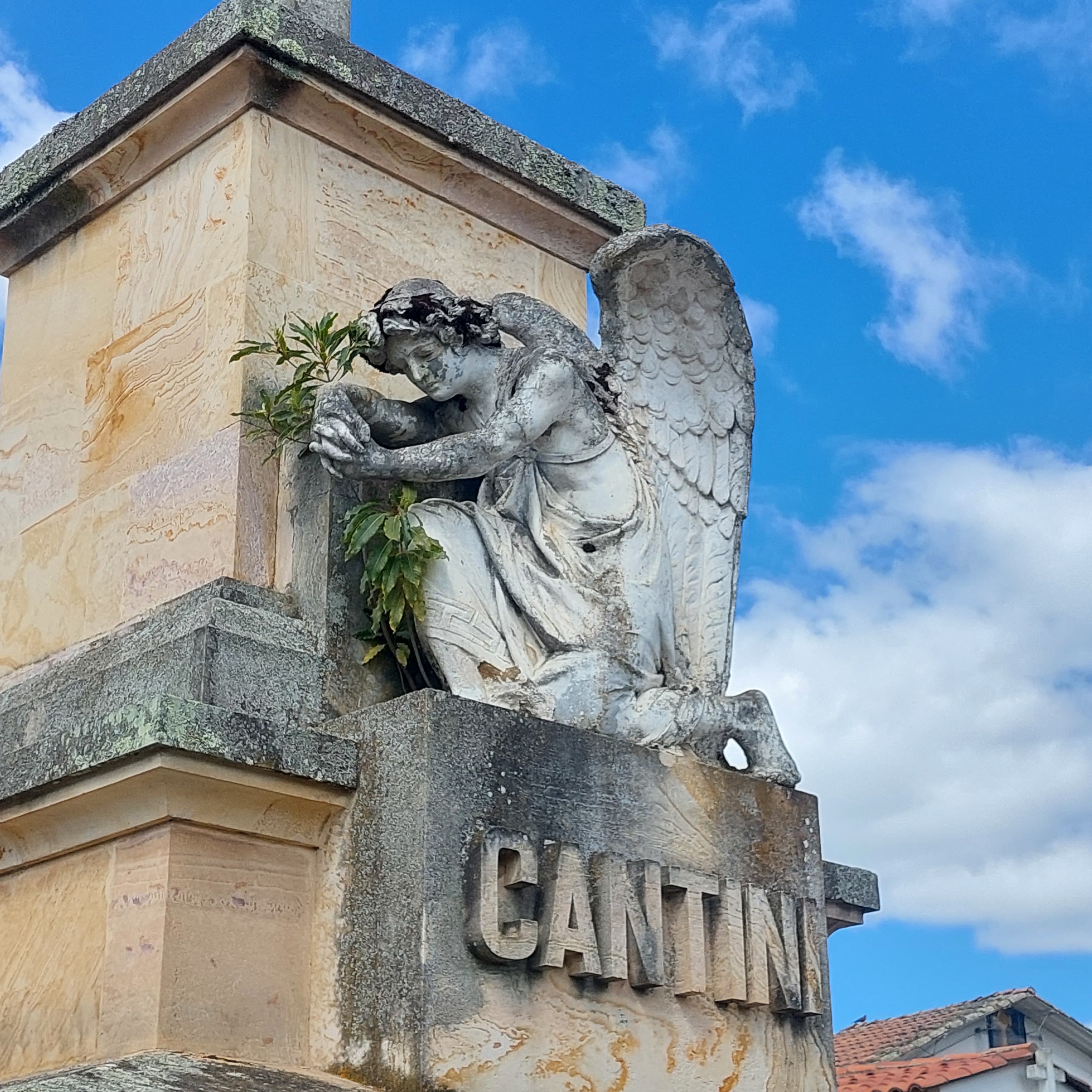 Ruta Patrimonial