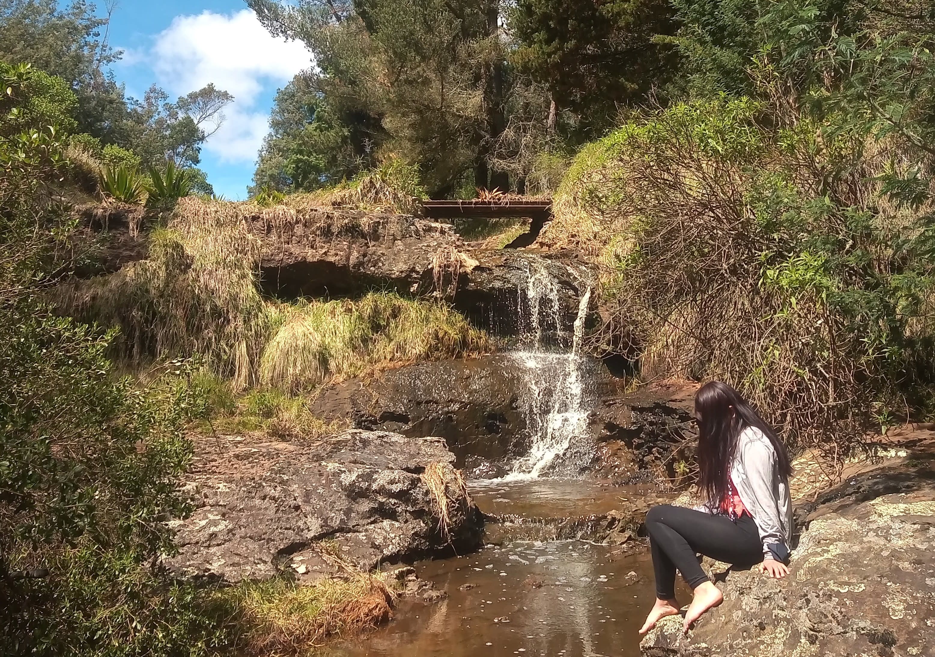 Quebrada la Susana