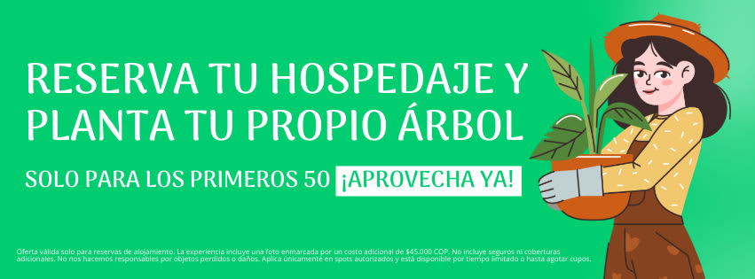 Publicidad Destiplus