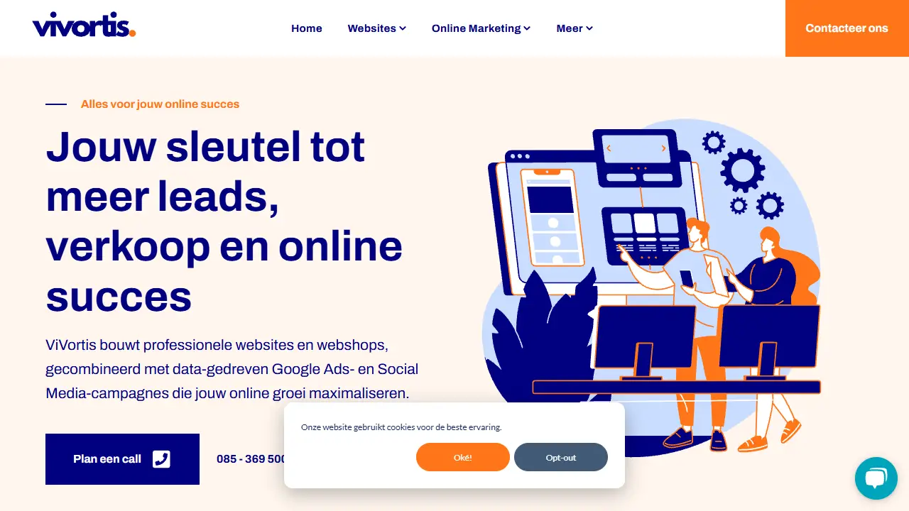 ViVortis® Custom Web Design