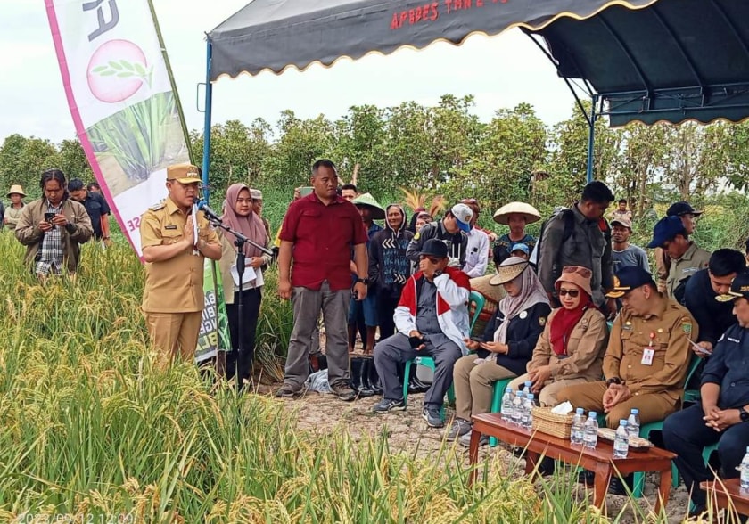 Pj.Bupati Barsel H.Deddy Winarwan saat menyampaikan laporan pelaksanaan PAnen Perdana Padi Inpari di Desa Damparan Kec.Dusun Hilir (Foto:HN2R/Dien)