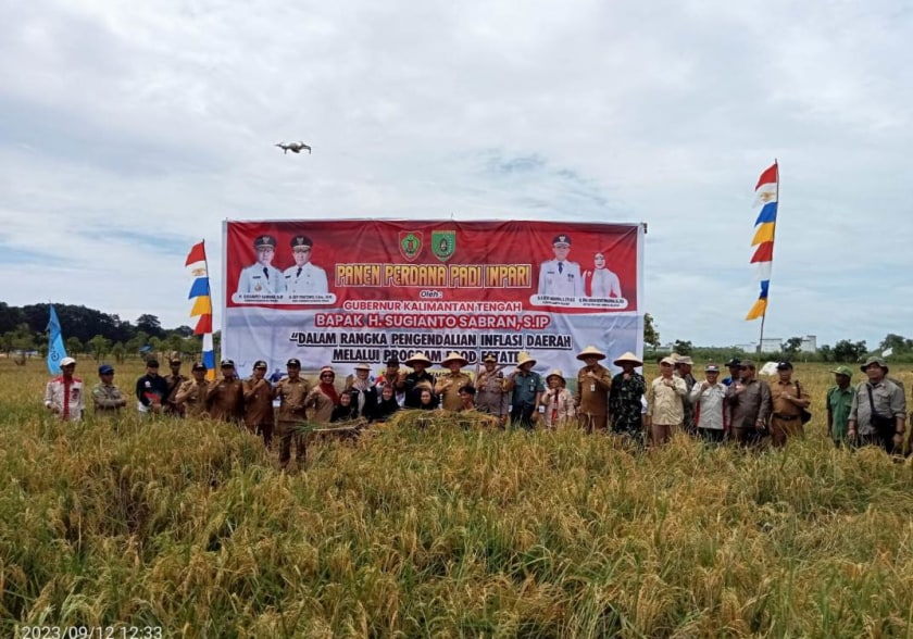 Wakil Gubernur Kalteng H. Edy Pratowo dan Pj.Bupati Barsel H.Deddy Winarwan saat melakukan panen perdana Padi Inpari di Desa Damparan Kec.Dusun Hilir (Foto:HN2R/Dien)