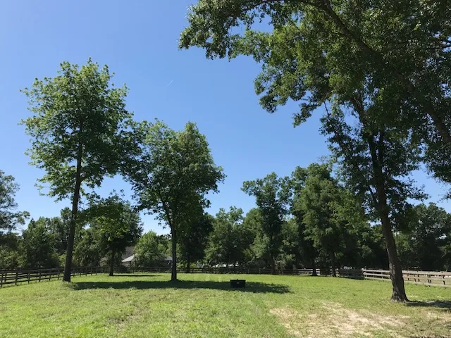 Red Fox Run Farm - The Chronicle of the Horse