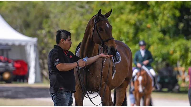 Favorite Photos From The Deeridge Derby - The Chronicle of the Horse