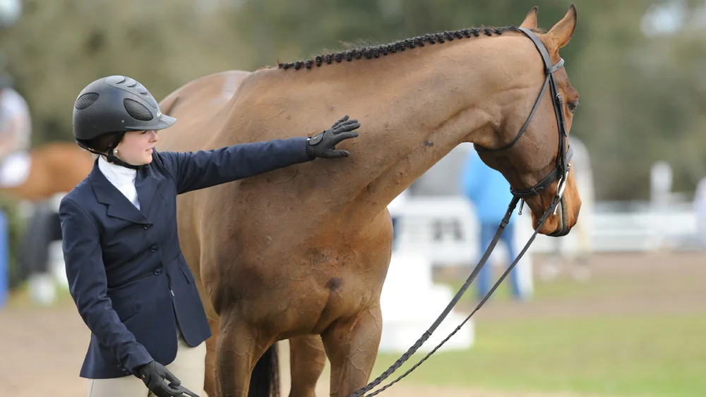 Câble De Recharge Secteur ORIGINAL HTC Pour HTC One M7 (2013) - Noir - Chargeur Mural