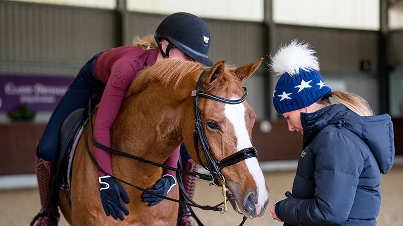 Articles – The Chronicle of the Horse