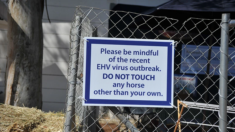 Have You Heard Two Horses In Kansas Test Positive For Deadly Viruses What Now - ft69e97