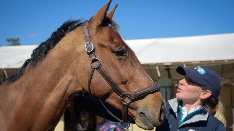 Behind The Stall Door With: Deniro Z - The Chronicle of the Horse