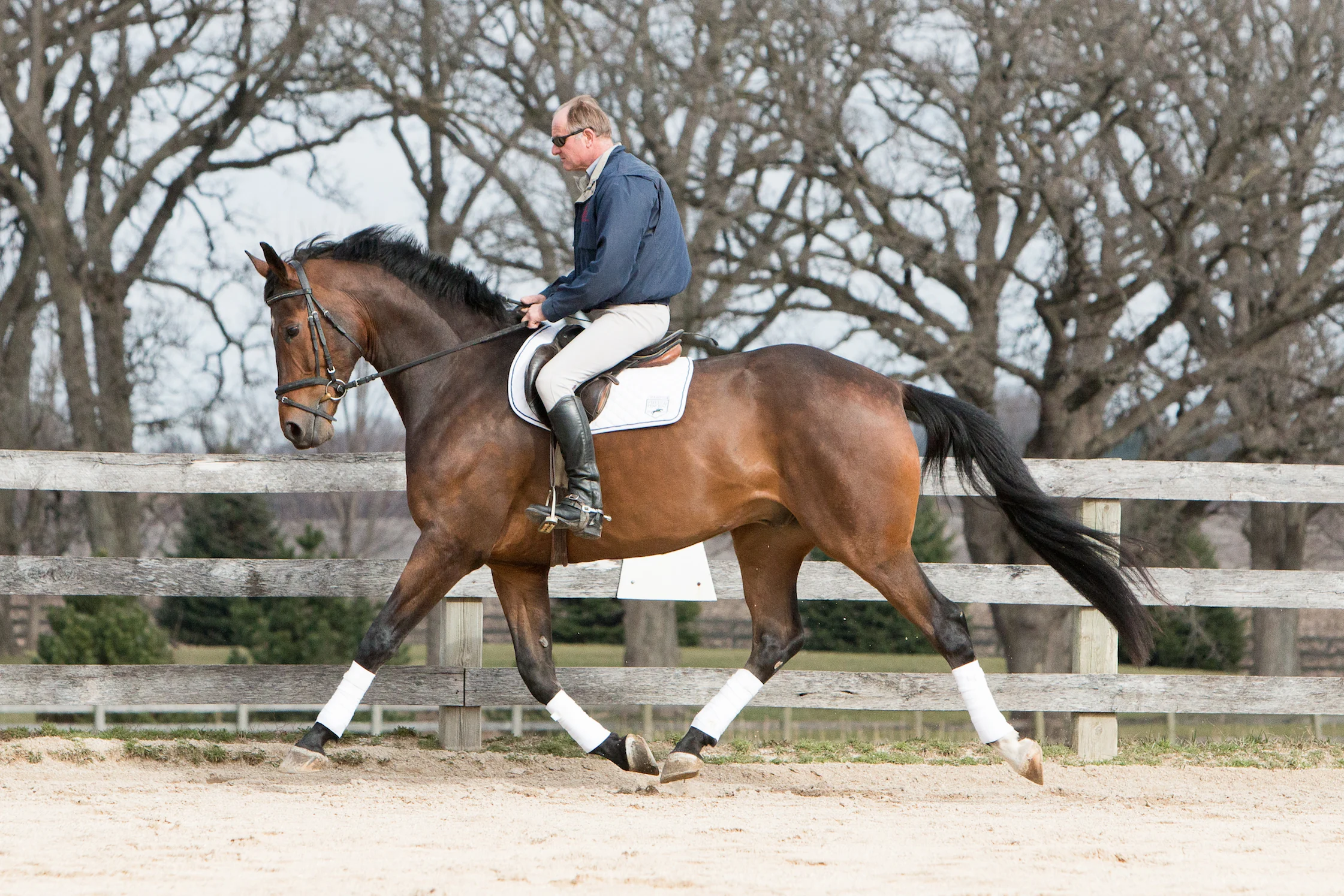 Rockefeller - The Chronicle of the Horse