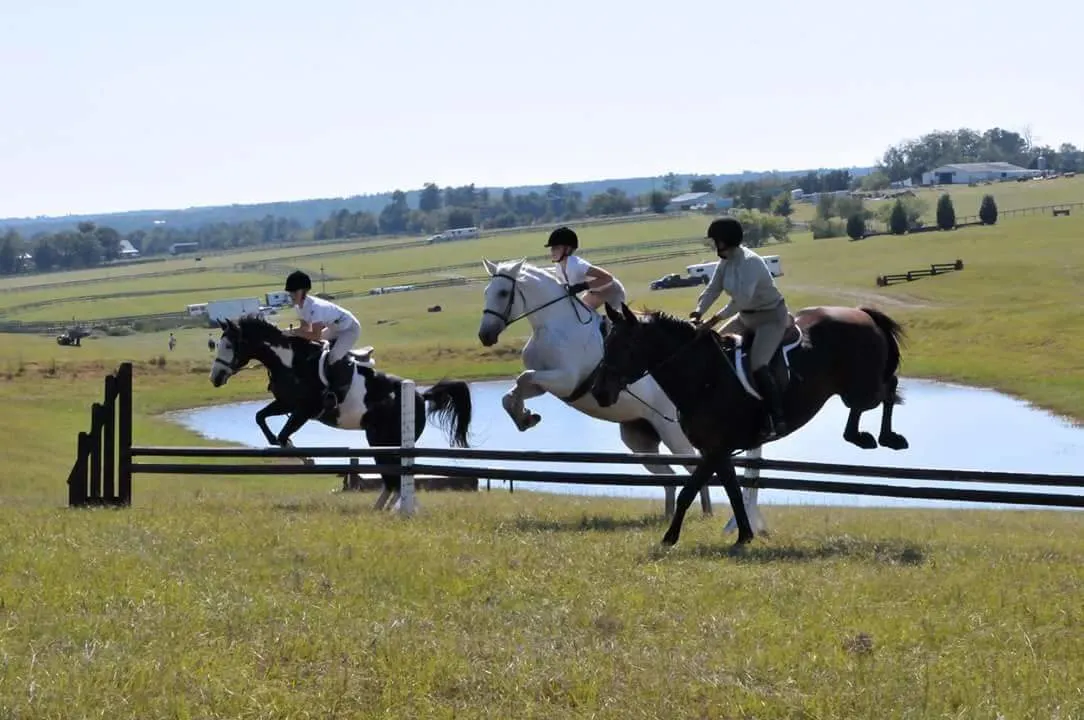 Iconic Competition Training Farm In Aiken South Carolina Horse iconic-competition-training-farm-in-aiken-south-carolina-horse