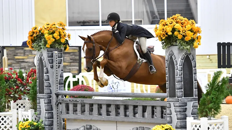 Rossow Pivots From Wrangling Ponies To The WCHR Developing Pro Challenge - The Chronicle of the Horse Rossow Pivots From Wrangling Ponies To The WCHR Developing Pro Challenge - The Chronicle of the Horse