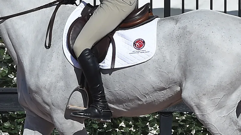 Jitterbug’s Guide To #NoStirrupNovember - The Chronicle of the Horse