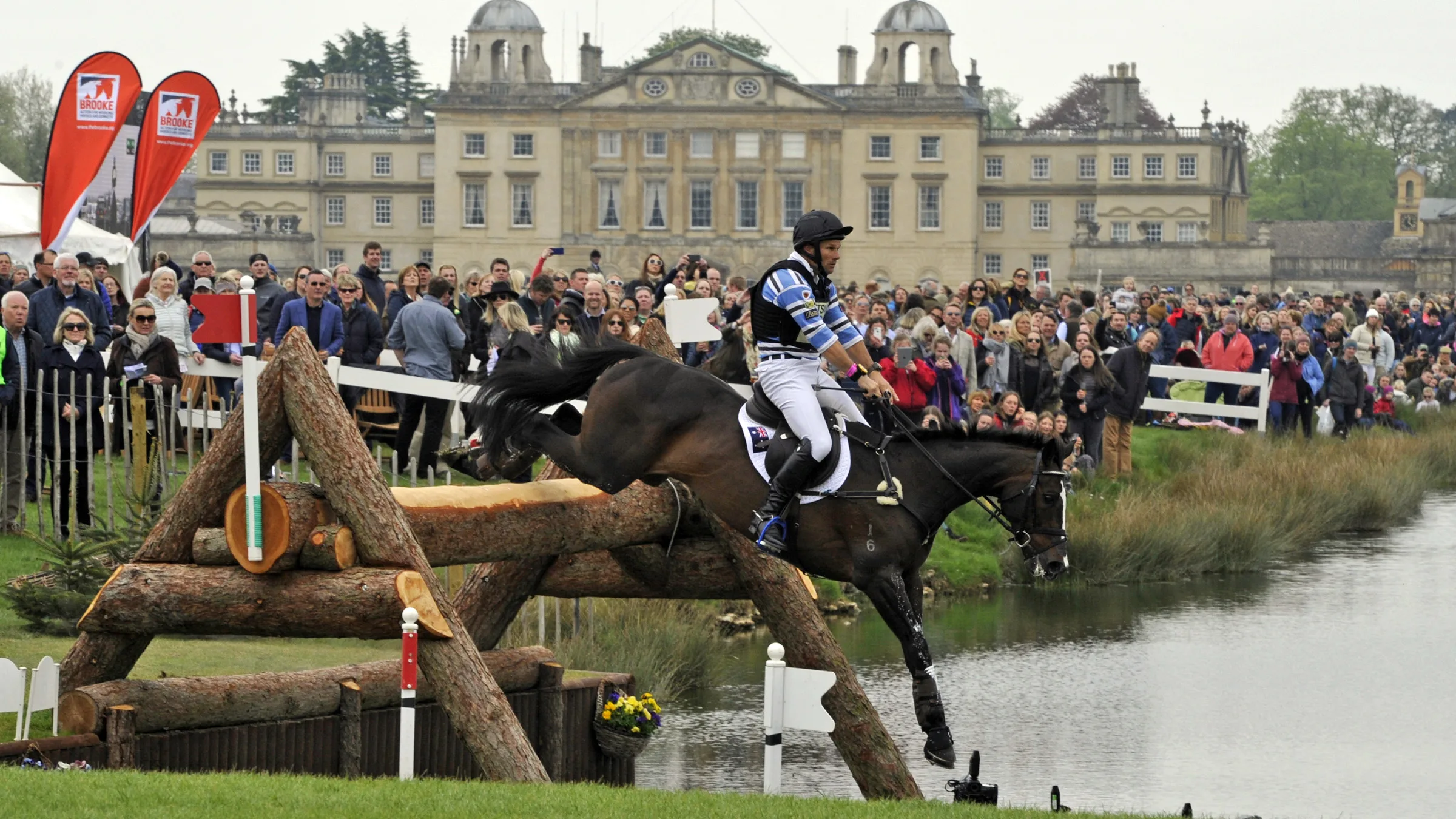 Shanghai Joe Euthanized After Sustaining Injury At Badminton Horse Trials