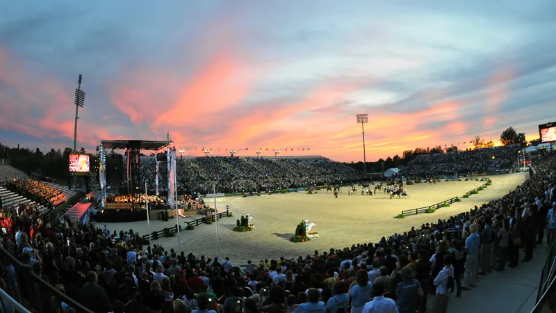 Glossary - Kentucky Horse Park