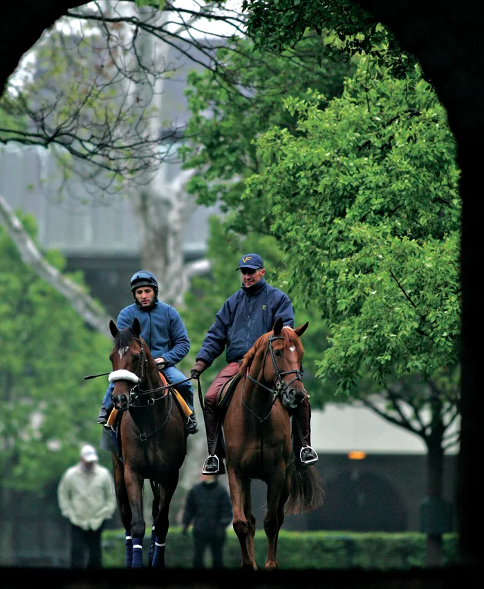 Coth Forums: Equestrian Enthusiasts Unite!