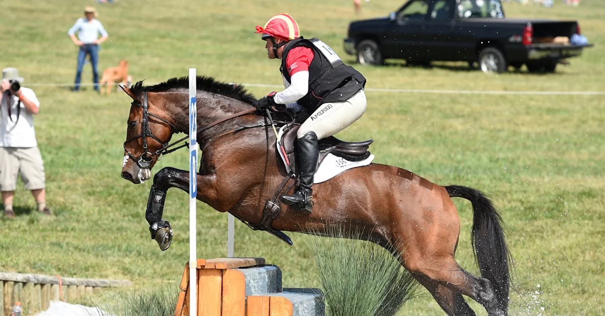 Two Yellow Cards Handed Out At Virginia Horse Trials The Chronicle of