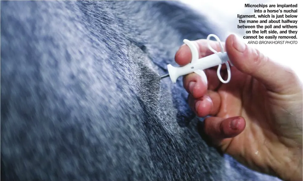 Microchip Lookup Equestrian Federation Horse Microchip Register