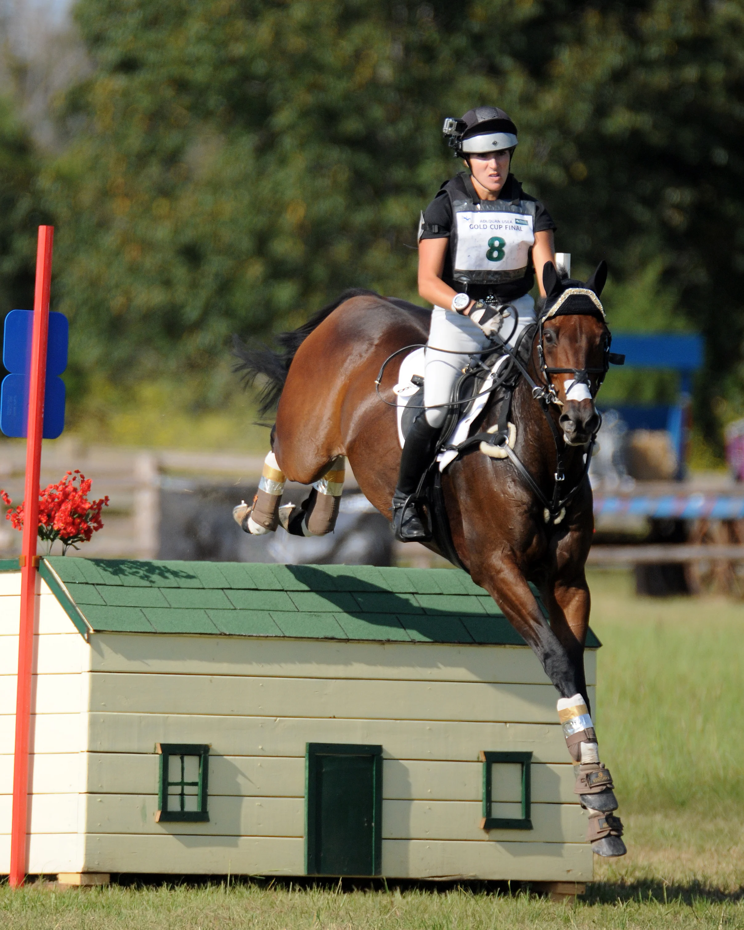 USEF Changes Helmet Camera Protocol The Chronicle of the Horse