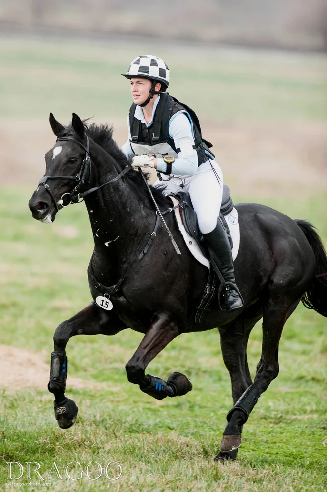 How to Win Equestrian Competitions: Expert Tips and Strategies