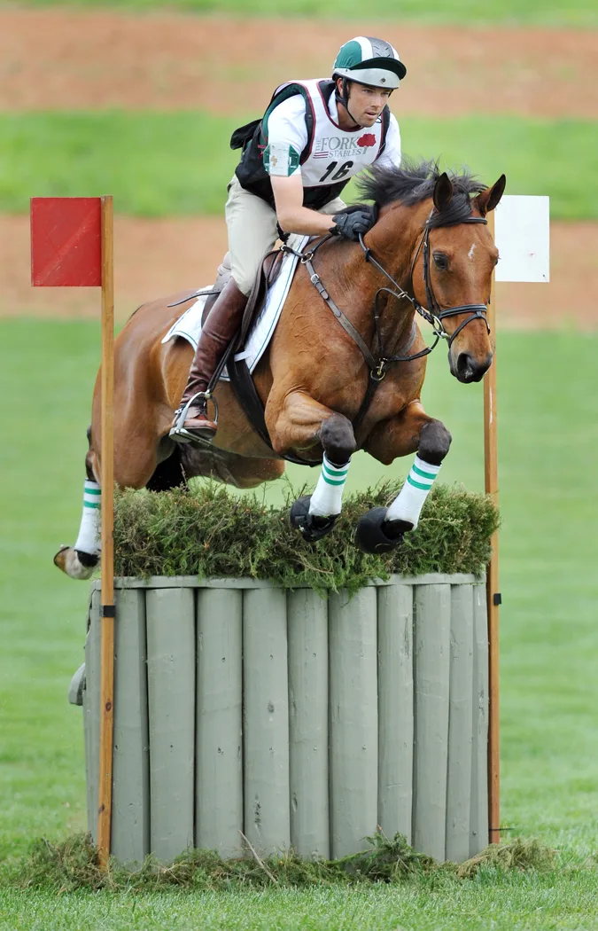 William Coleman The Chronicle of the Horse