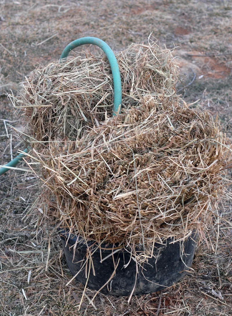 What Types Of Straw Can Be Fed to Horses - Dengie