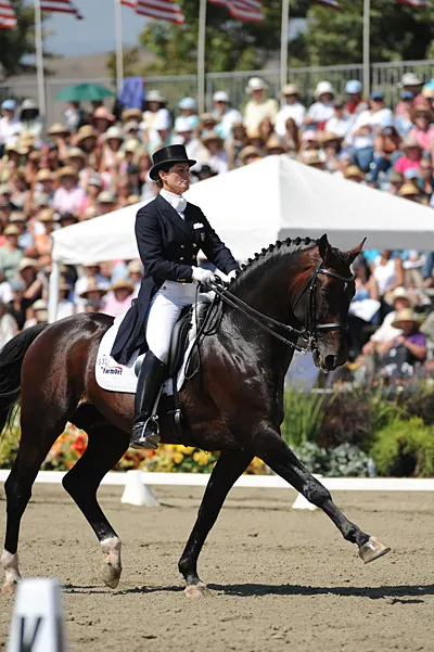 Dressage Champion Kingston Dies - The Chronicle of the Horse