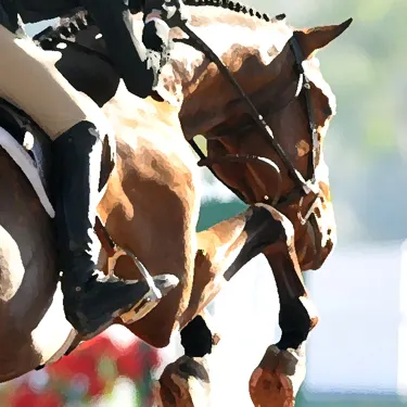 Horseman’s Forum: Solve A Host Of Problems With Controlled