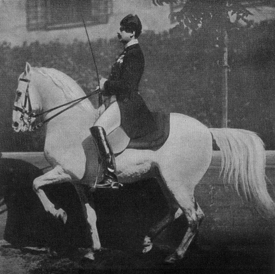 World Equestrian Games Dressage The Chronicle of the Horse