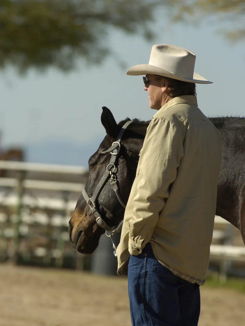 Too macho to wear a helmet? More rodeo riders wearing protective head wear