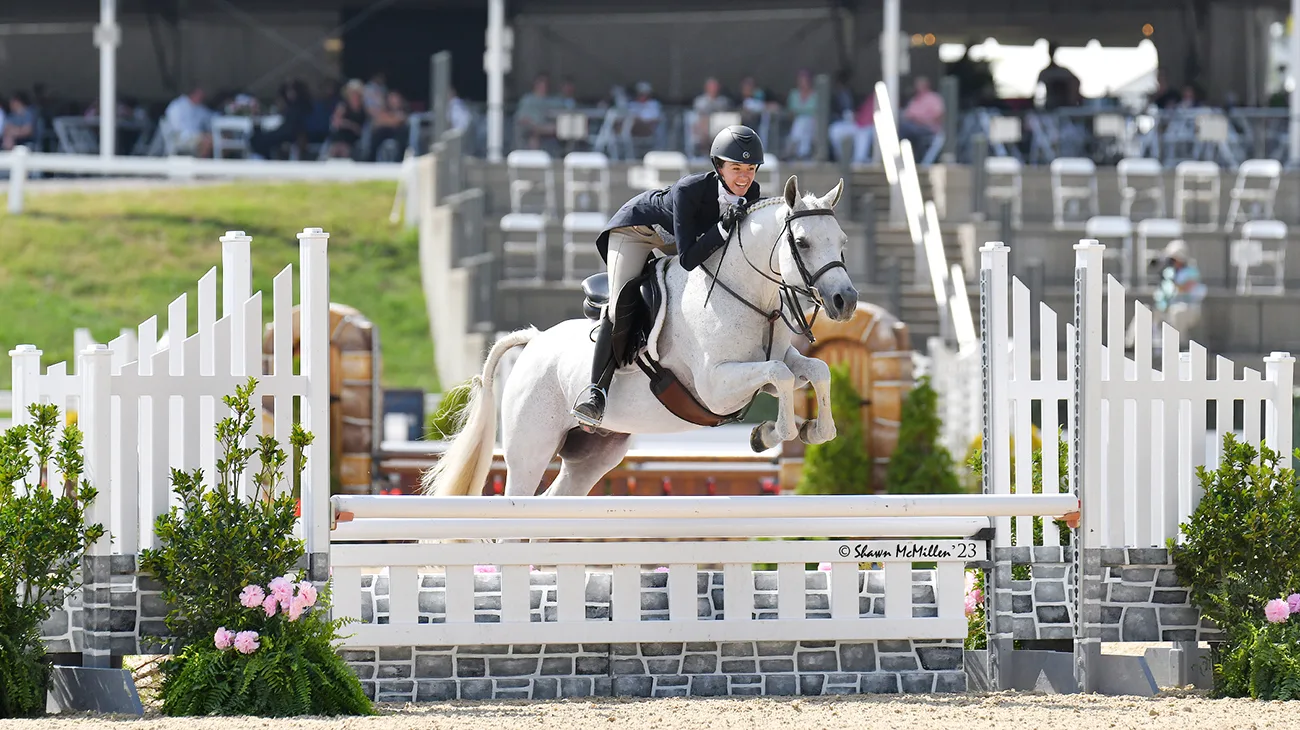 يا له من طبق: المهر العربي يحقق قفزة ناجحة من حلبة السلالات إلى نهائيات المهر يا له من طبق: المهر العربي يحقق قفزة ناجحة من حلبة السلالات إلى نهائيات المهر