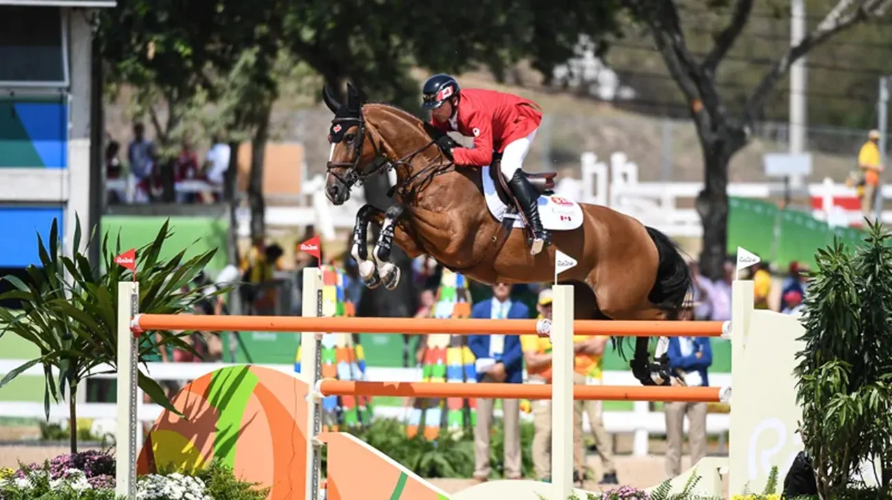 5 Different Types Of Horse Jumps  Horse Jumping Barn - Comly Sports