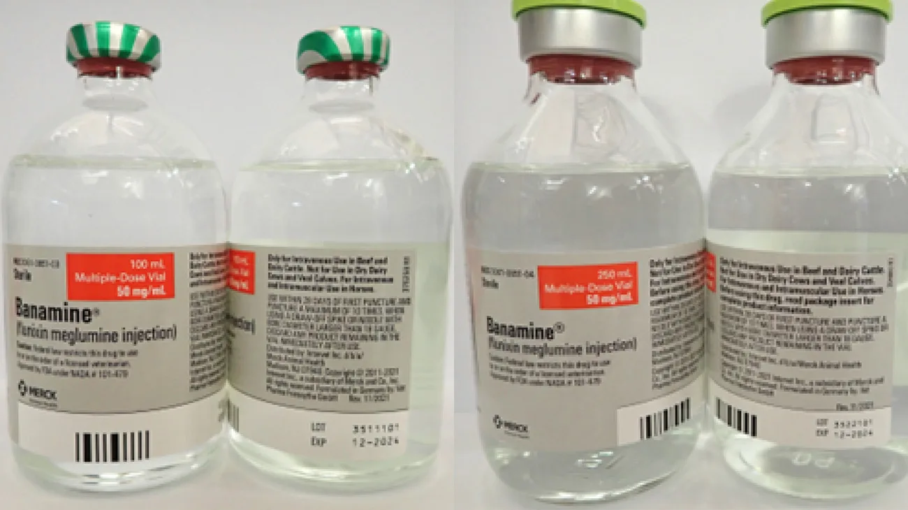 Merck Expands Voluntary Recall Of Banamine The Chronicle of the Horse