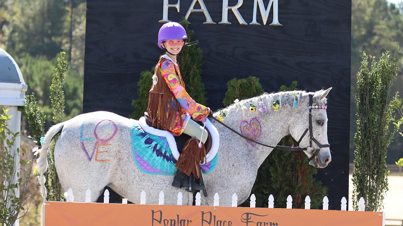 Dressage - 17.5 Seat – Page 3 – Aiken Tack Exchange