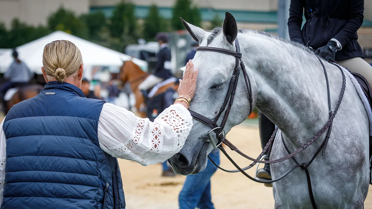 Ask The Expert How Do You Insure A Leased Horse? The Chronicle of