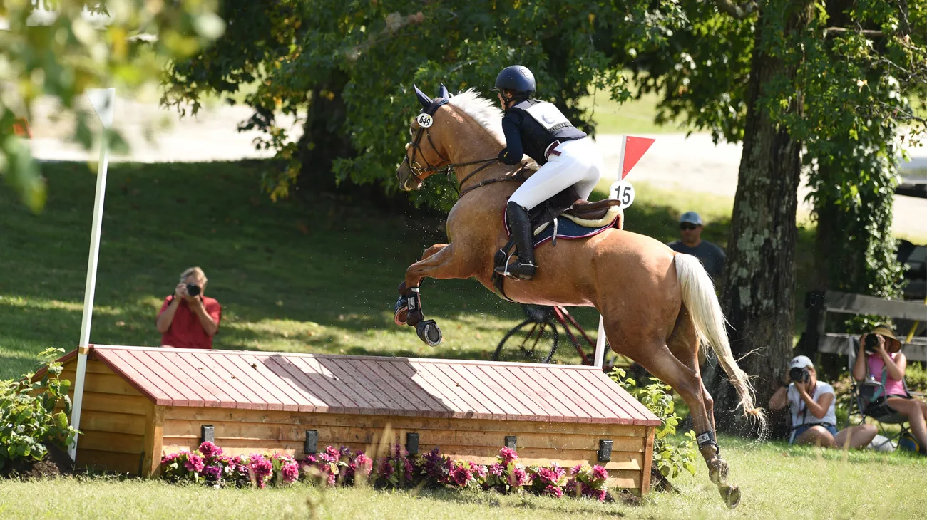 Eventiing Latest Area I Loss Reflects Eventing's Shifting Business Model - The ...
