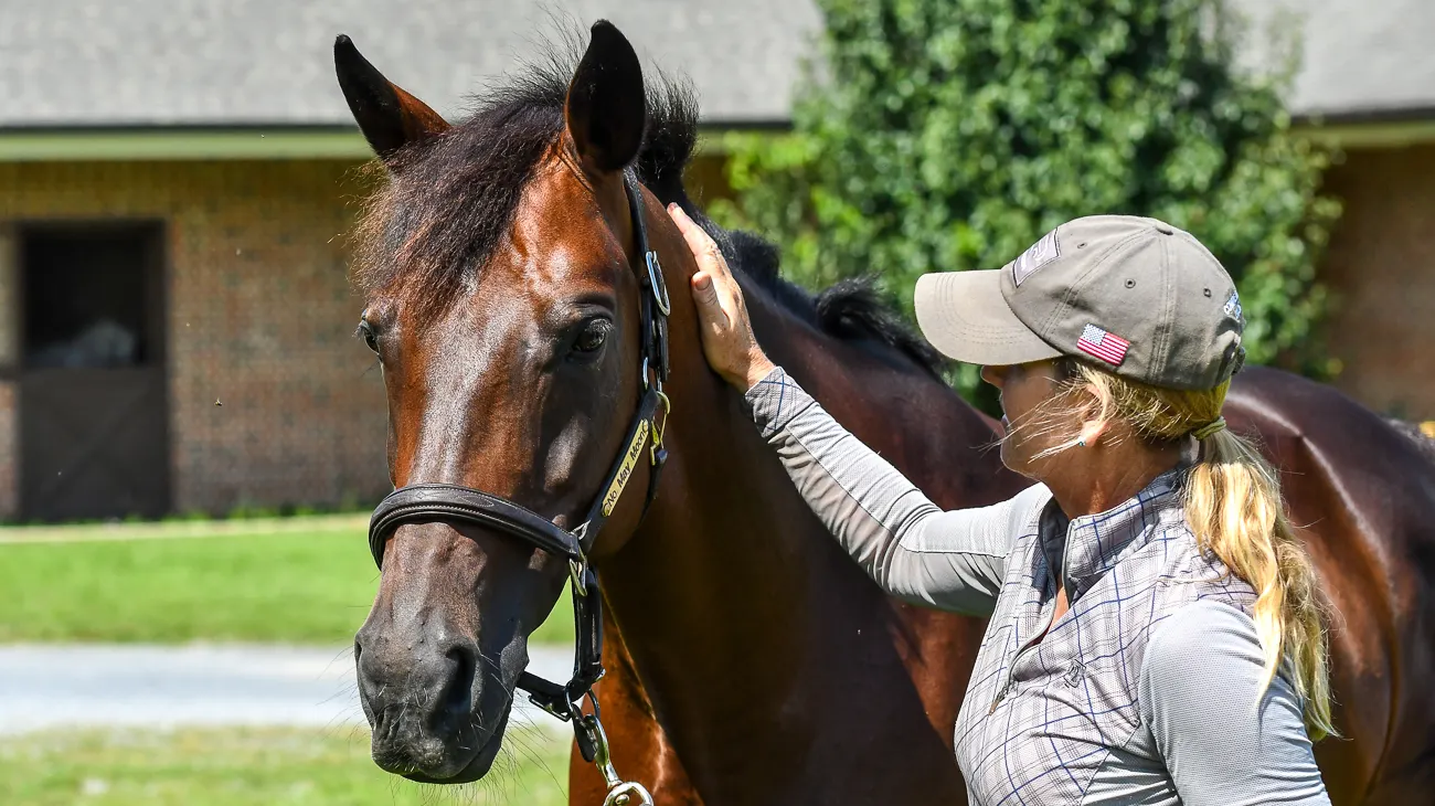 Behind The Stall Door: No May Moon - The Chronicle of the Horse