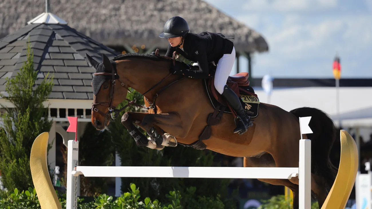 Video: Mallevaey Sets The Pace In Wellington CSI3* - The Chronicle of the Horse