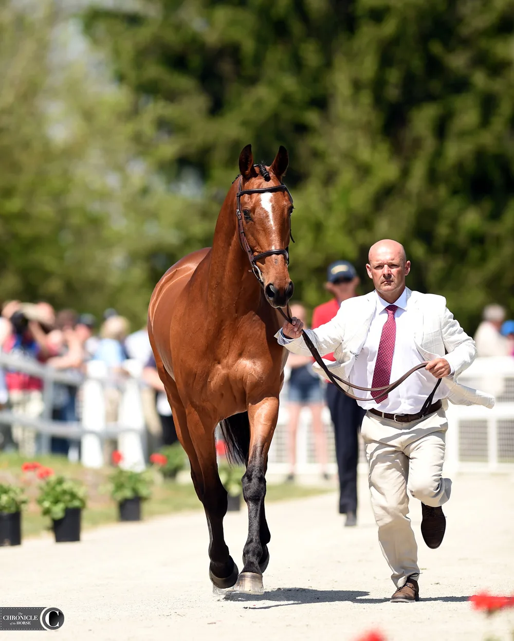 First Rolex Jog: Online Shopping And Fashion-Forward Friends - The  Chronicle of the Horse