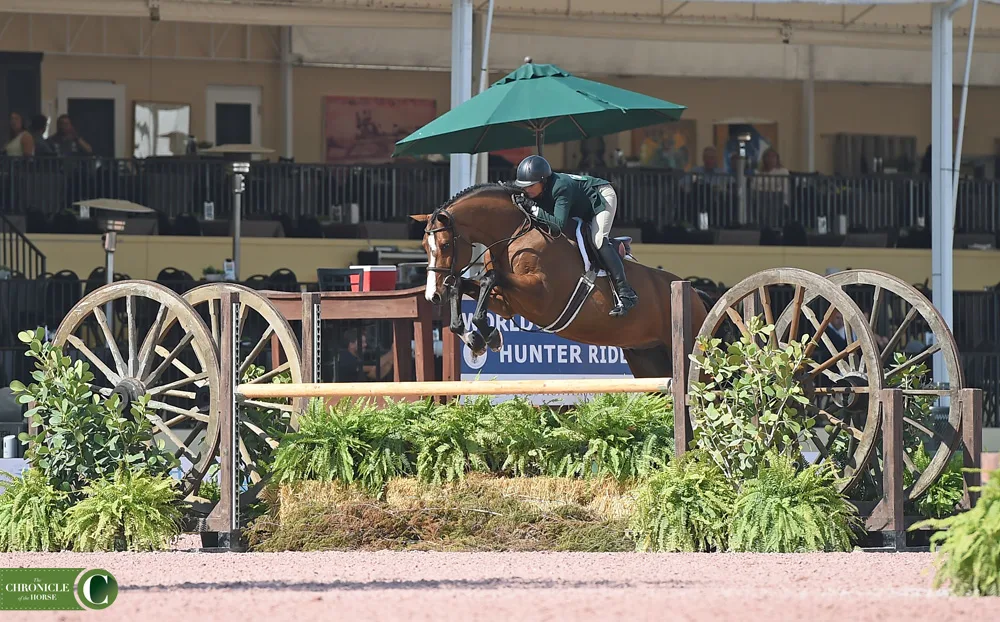 It's hard not to stare at Aristocrat on course as he and Havens Schatt claimed the 3'9" green hunter title. Photo by Ann Glavan