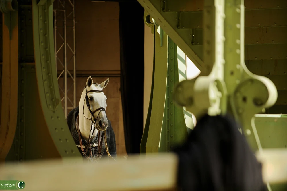First look at the Hermès Horse exhibition