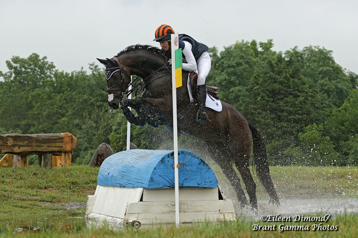Liz Halliday Sharp.CCI2S.VS0E2971