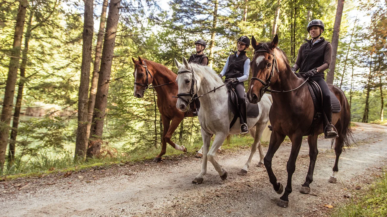 Three young women riding horses on dirt road in forest.