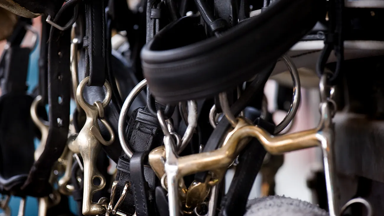 Double-bridle-web-Arnd