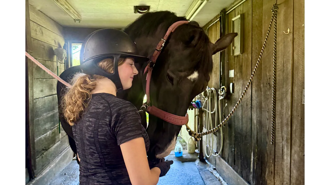 More Heart than budget