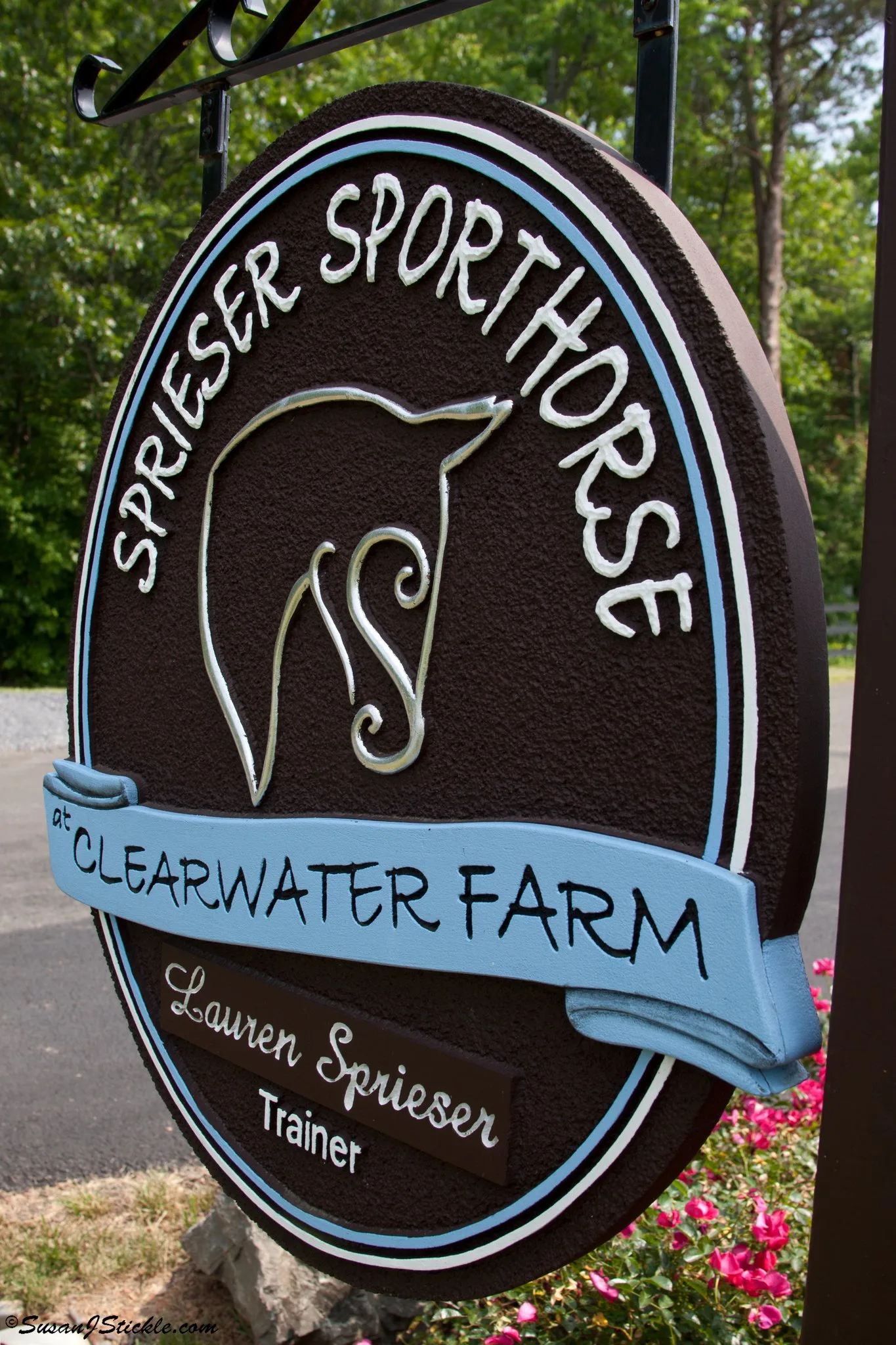 Sprieser-Sporthorse_5.jpg