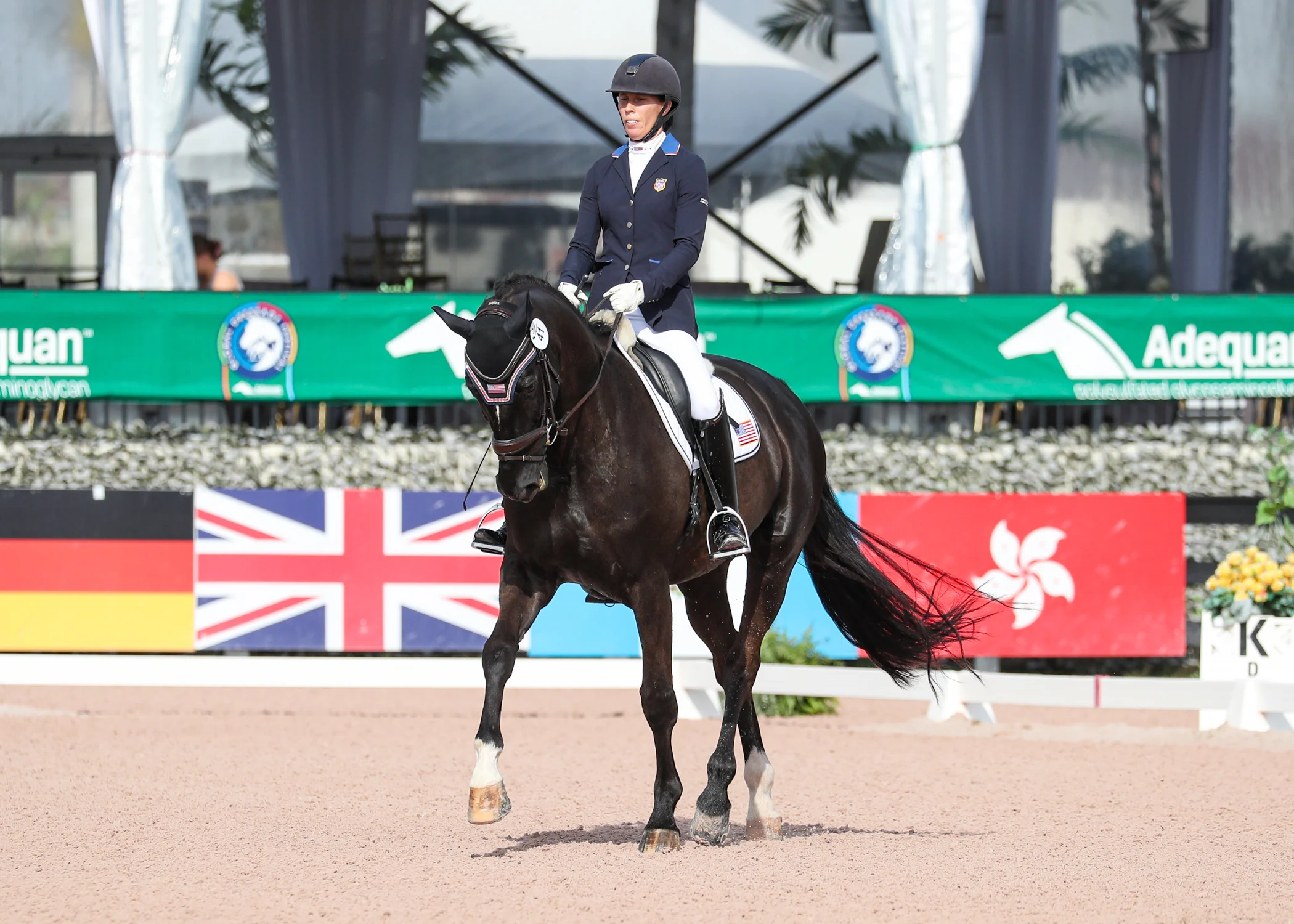 Kate Shoemaker Is Building For The Future The Chronicle of the Horse