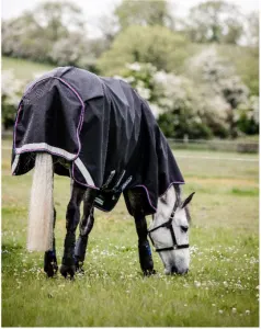 Horse Blanket or Not? - MSU Extension